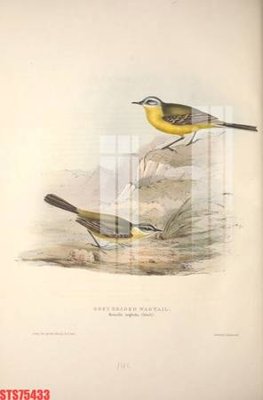 Tải file Tranh sơn dầu phương tây tổng hợp STS75433 (gốc) chủ đề tôn giáo