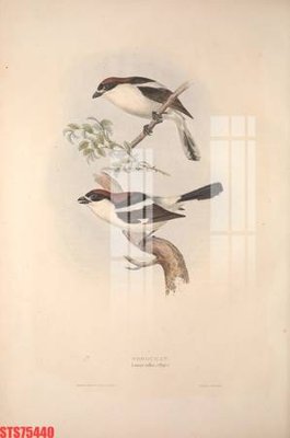 File tranh ảnh gốc Tranh sơn dầu phương tây tổng hợp STS75440 dùng cho in khổ lớn