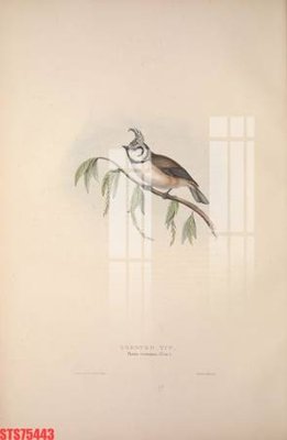 Tải file gốc Tranh sơn dầu phương tây tổng hợp STS75443 (in không vỡ ảnh)