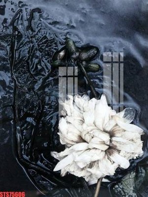 Ảnh gốc Tranh sơn dầu phương tây tổng hợp STS75606 (độ nét cao) in tráng gương