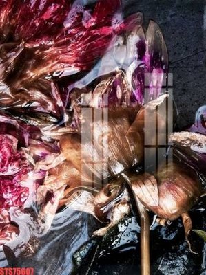 File gốc Tranh sơn dầu phương tây tổng hợp STS75607 (Filetranh.com) Tranh sơn dầu phương tây tổng hợp STS75607