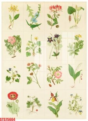 File tranh Tranh sơn dầu phương tây tổng hợp STS75664 (gốc) chủ đề thành phố