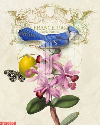 File in trần Tranh sơn dầu phương tây tổng hợp STS76659 (bản gốc) trời sao