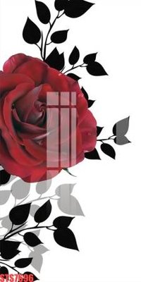 File tranh Tranh sơn dầu phương tây tổng hợp STS7696 (gốc) in trên kính