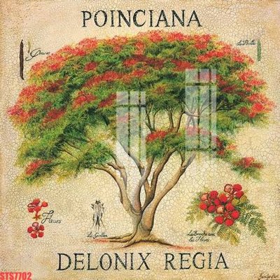 File tranh Tranh sơn dầu phương tây tổng hợp STS7702 (bản gốc) treo quán cafe