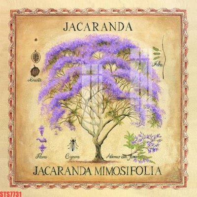 Chi tiết file gốc Tranh sơn dầu phương tây tổng hợp STS7731 (cho in tráng gương)