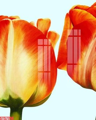 Download file Tranh sơn dầu phương tây tổng hợp STS7794 (gốc) in mica ốp bếp