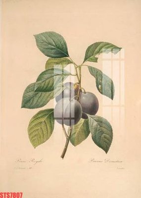 File gốc Tranh sơn dầu phương tây tổng hợp STS7807 (in lụa) tranh mã đáo