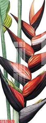 Mua file ảnh gốc Tranh sơn dầu phương tây tổng hợp STS78470 (chất lượng cao)