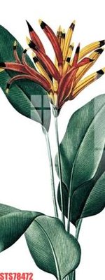 File PSD Tranh sơn dầu phương tây tổng hợp STS78472 (chất lượng in ấn)