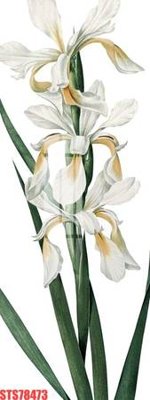 Chi tiết file tranh tráng gương Tranh sơn dầu phương tây tổng hợp STS78473 (ảnh gốc)