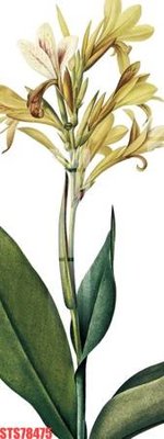 File PSD Tranh sơn dầu phương tây tổng hợp STS78475 (bản gốc) đã tách nền