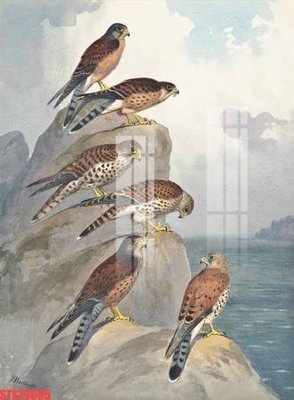 File in trần Tranh sơn dầu phương tây tổng hợp STS79095 (file gốc) hoa văn 3D