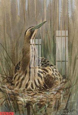 Download file gốc Tranh sơn dầu phương tây tổng hợp STS79120 (dùng cho in ấn)