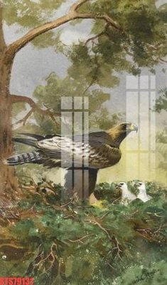 File tranh Tranh sơn dầu phương tây tổng hợp STS79131 (ảnh gốc) in trần 3D