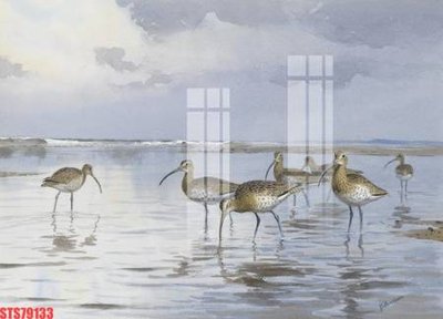 File in mica Tranh sơn dầu phương tây tổng hợp STS79133 (bản gốc) sắc sảo