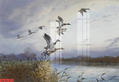 Tải file Tranh sơn dầu phương tây tổng hợp STS79137 (gốc) in ấn ngay lập tức