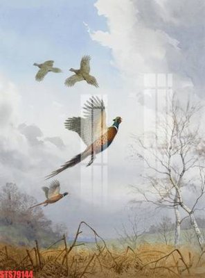 Ảnh gốc Tranh sơn dầu phương tây tổng hợp STS79144 (siêu chi tiết) để in ấn