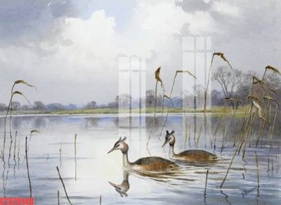 File in mica Tranh sơn dầu phương tây tổng hợp STS79149 (bản gốc) làm vách ngăn