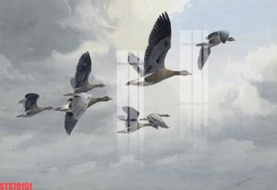 File gốc Tranh sơn dầu phương tây tổng hợp STS79151 (trang trí) phòng ngủ