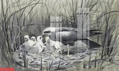 File ảnh Tranh sơn dầu phương tây tổng hợp STS79165 (gốc) in Hiflex