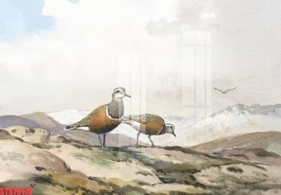 File ảnh Tranh sơn dầu phương tây tổng hợp STS79174 (gốc) trang trí khách sạn