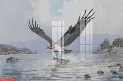 Download file gốc Tranh sơn dầu phương tây tổng hợp STS79175 (in lụa) cao cấp