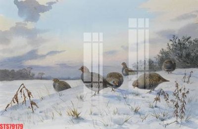 File gốc Tranh sơn dầu phương tây tổng hợp STS79179 (cho in ấn) từ kho Filetranh