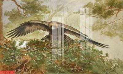 Download file gốc Tranh sơn dầu phương tây tổng hợp STS79182 (dùng cho in ấn)