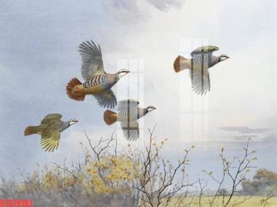 File gốc Tranh sơn dầu phương tây tổng hợp STS79191 (trang trí) phòng ngủ