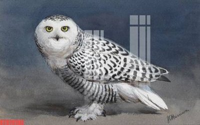 File PSD Tranh sơn dầu phương tây tổng hợp STS79192 (bản gốc) cho nhà in