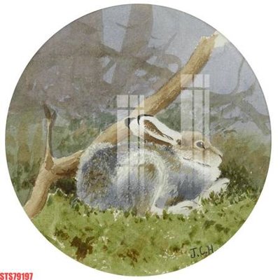 File gốc Tranh sơn dầu phương tây tổng hợp STS79197 (in lụa) họa tiết 3D