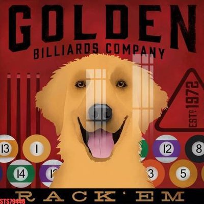 Ảnh gốc Tranh sơn dầu phương tây tổng hợp STS79448 (nét căng) in mica