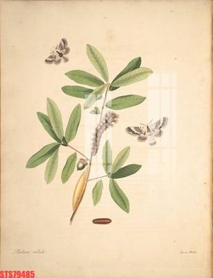 Download file Tranh sơn dầu phương tây tổng hợp STS79485 (gốc) in mica ốp bếp