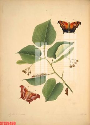 File gốc Tranh sơn dầu phương tây tổng hợp STS79490 (cho in ấn) từ kho Filetranh