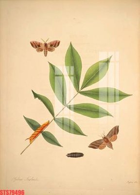 Tải file Tranh sơn dầu phương tây tổng hợp STS79496 (gốc) chủ đề phong thủy