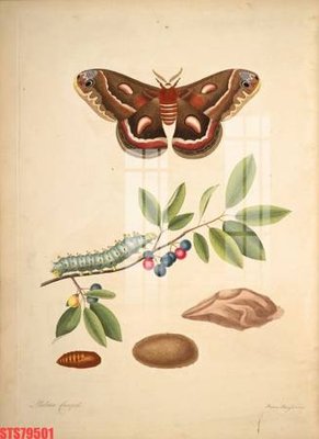 File in ấn cao cấp Tranh sơn dầu phương tây tổng hợp STS79501 (file gốc)