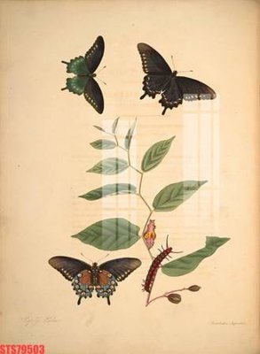 File PSD Tranh sơn dầu phương tây tổng hợp STS79503 (gốc) cho in quảng cáo