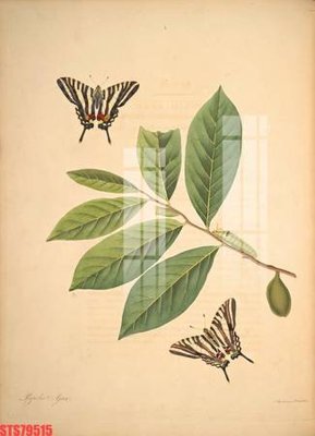 File ảnh gốc Tranh sơn dầu phương tây tổng hợp STS79515 không vỡ nét