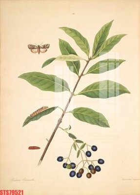 File gốc Tranh sơn dầu phương tây tổng hợp STS79521 (phong cách) tối giản