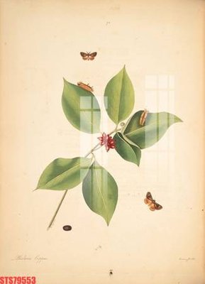 Tải file gốc Tranh sơn dầu phương tây tổng hợp STS79553 dùng cho in ấn