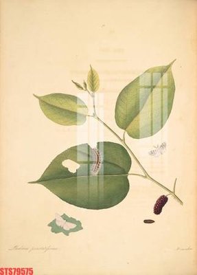 File gốc Tranh sơn dầu phương tây tổng hợp STS79575 (in mica) trang trí