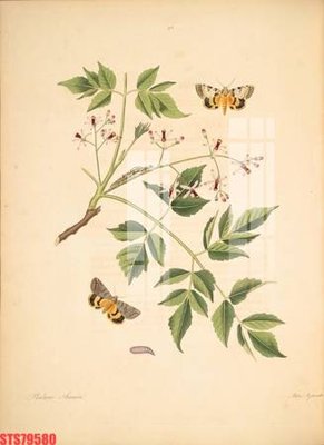 Tải file gốc Tranh sơn dầu phương tây tổng hợp STS79580 (in bạt) quảng cáo