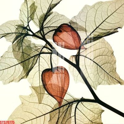 File tranh Tranh sơn dầu phương tây tổng hợp STS79775 (gốc) chủ đề thành phố