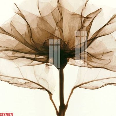 Tải file Tranh sơn dầu phương tây tổng hợp STS79777 (gốc) in ấn chất lượng