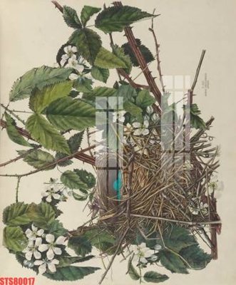 File tranh gốc in trần nhà Tranh sơn dầu phương tây tổng hợp STS80017 3D