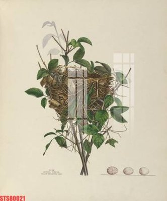 File tranh Tranh sơn dầu phương tây tổng hợp STS80021 (bản gốc) treo quán cafe