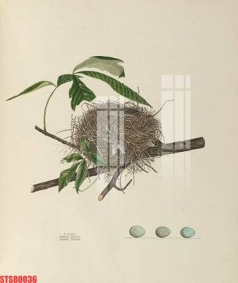 File tranh gốc Tranh sơn dầu phương tây tổng hợp STS80036 (sắc nét từng chi tiết)