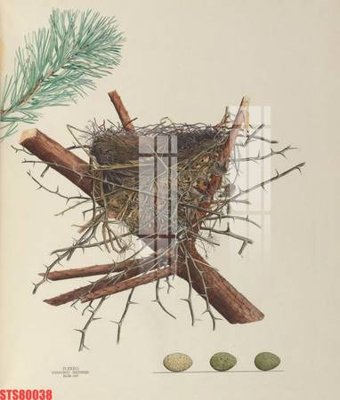 File gốc Tranh sơn dầu phương tây tổng hợp STS80038 (chuẩn CMYK) cho nhà in