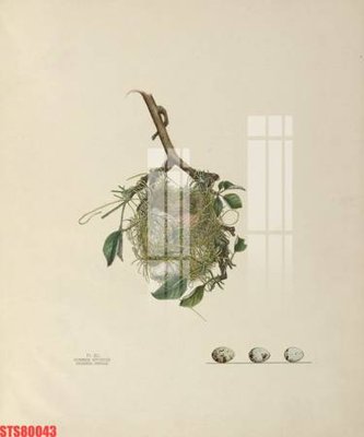 Tải file Tranh sơn dầu phương tây tổng hợp STS80043 (ảnh gốc) độ phân giải 300dpi